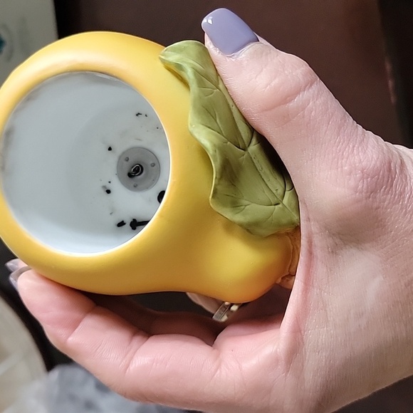 Partylite Harvest Medley - Picture 4 of 7